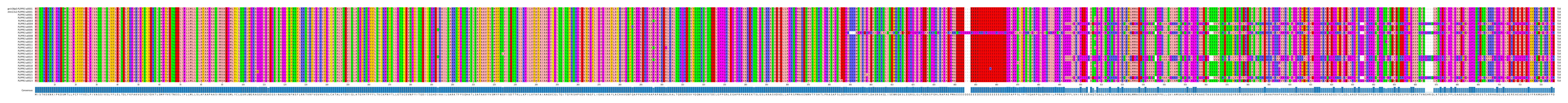Multiple Alignments (by translate haplotype frequency)