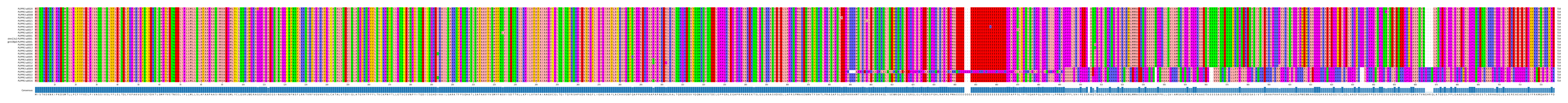 Multiple Alignments (by translate haplotype similarity)