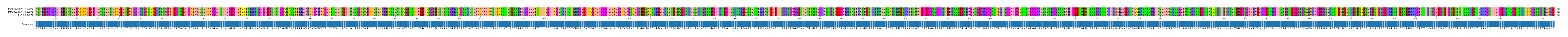Multiple Alignments (by translate haplotype similarity)