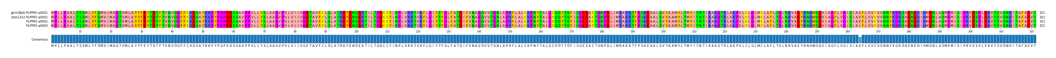Multiple Alignments (by translate haplotype similarity)