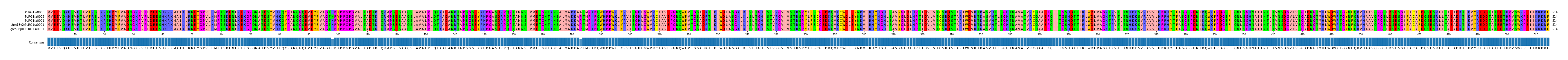 Multiple Alignments (by translate haplotype similarity)