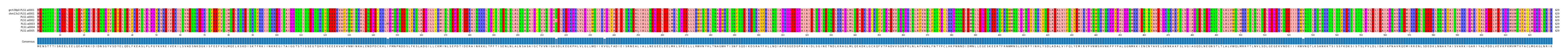 Multiple Alignments (by translate haplotype frequency)