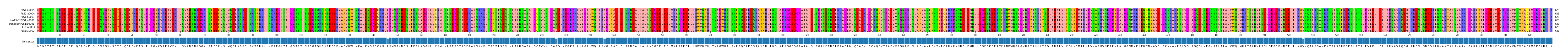 Multiple Alignments (by translate haplotype similarity)