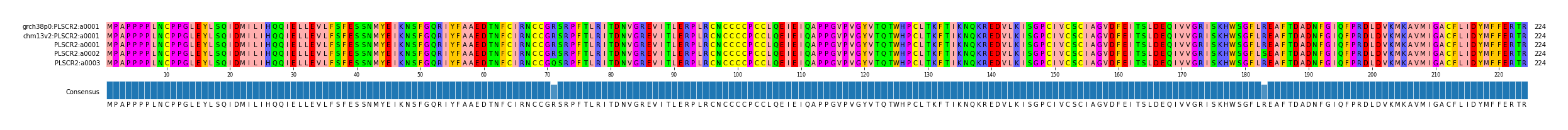 Multiple Alignments (by translate haplotype frequency)