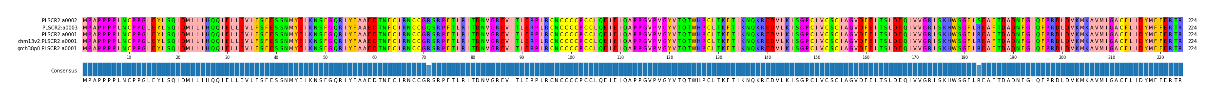Multiple Alignments (by translate haplotype similarity)