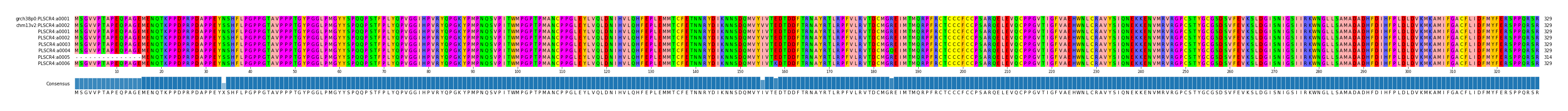 Multiple Alignments (by translate haplotype frequency)