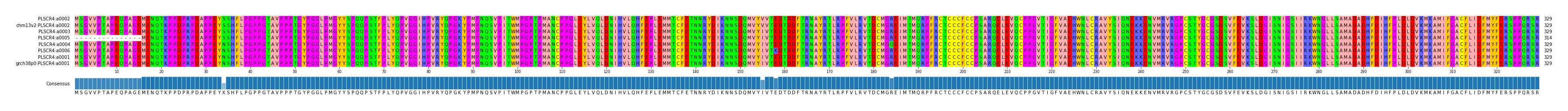 Multiple Alignments (by translate haplotype similarity)
