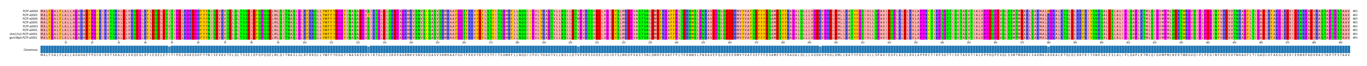 Multiple Alignments (by translate haplotype similarity)