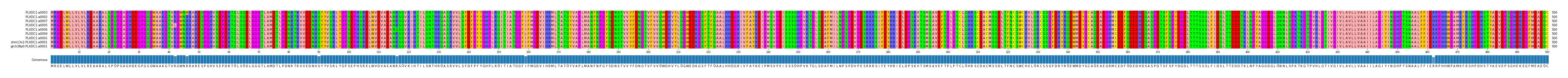 Multiple Alignments (by translate haplotype similarity)