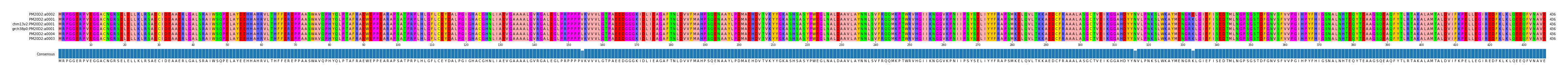 Multiple Alignments (by translate haplotype similarity)