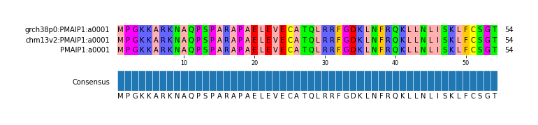 Multiple Alignments (by translate haplotype similarity)