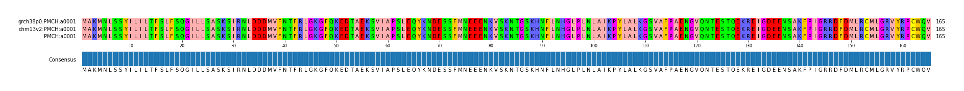 Multiple Alignments (by translate haplotype similarity)