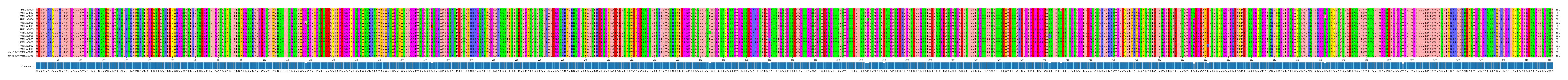 Multiple Alignments (by translate haplotype similarity)