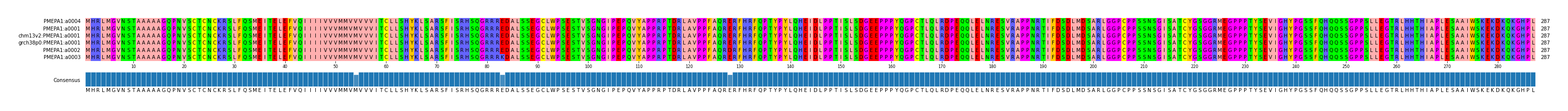 Multiple Alignments (by translate haplotype similarity)