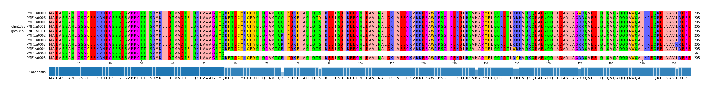 Multiple Alignments (by translate haplotype similarity)