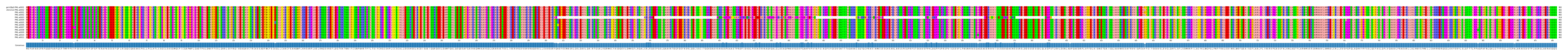 Multiple Alignments (by translate haplotype frequency)