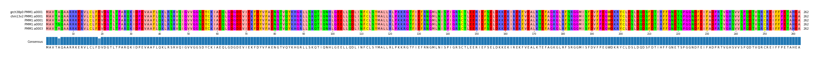 Multiple Alignments (by translate haplotype frequency)