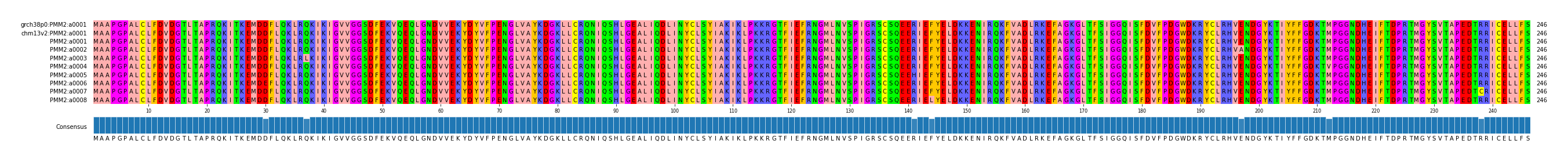 Multiple Alignments (by translate haplotype frequency)