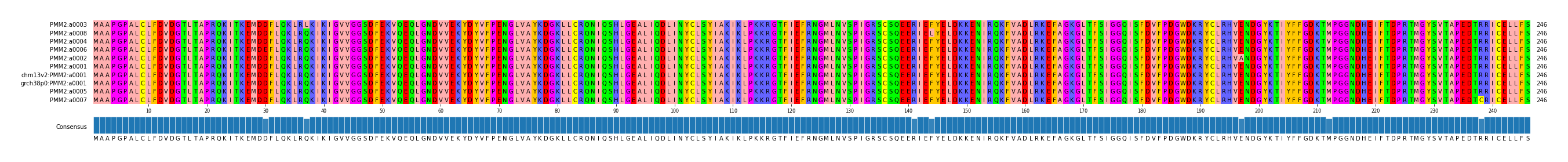 Multiple Alignments (by translate haplotype similarity)