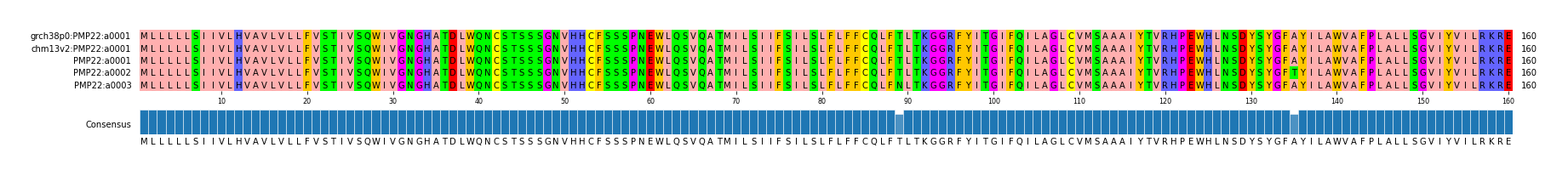 Multiple Alignments (by translate haplotype frequency)