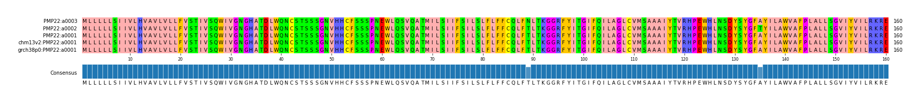 Multiple Alignments (by translate haplotype similarity)