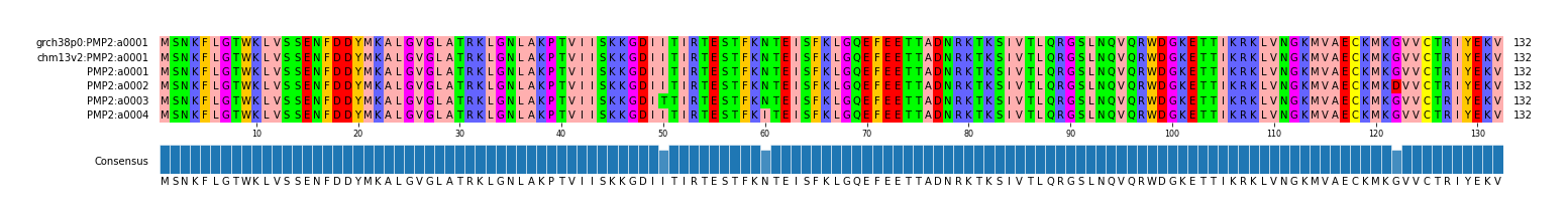 Multiple Alignments (by translate haplotype frequency)