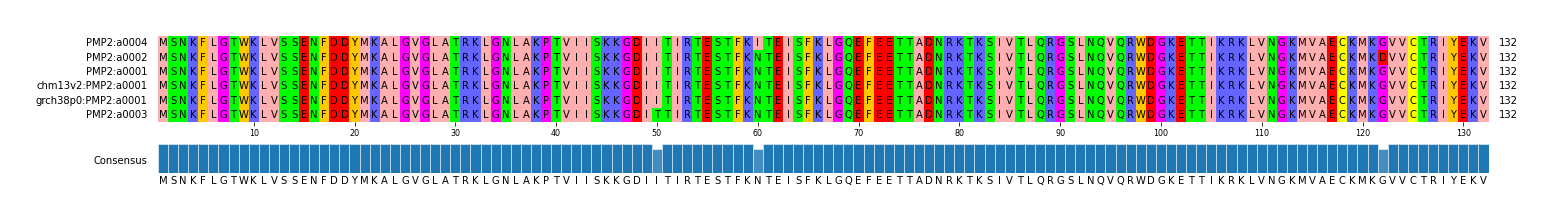 Multiple Alignments (by translate haplotype similarity)