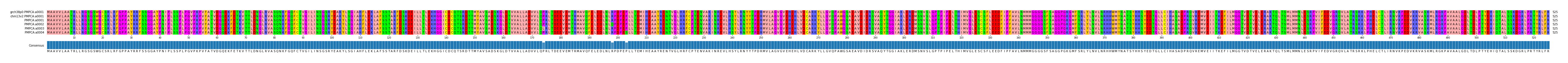 Multiple Alignments (by translate haplotype frequency)