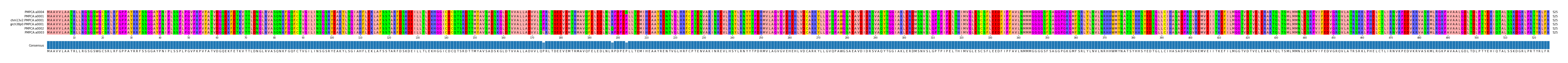 Multiple Alignments (by translate haplotype similarity)