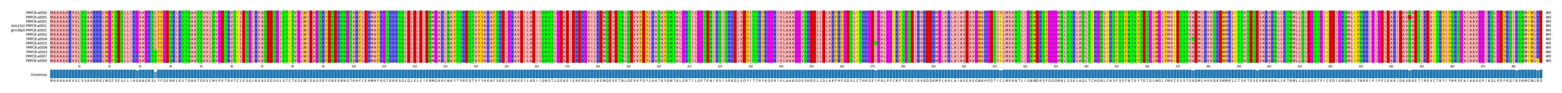 Multiple Alignments (by translate haplotype similarity)