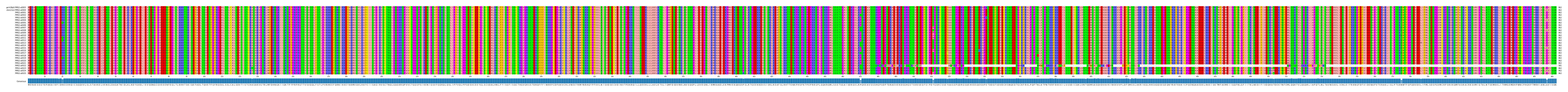 Multiple Alignments (by translate haplotype frequency)