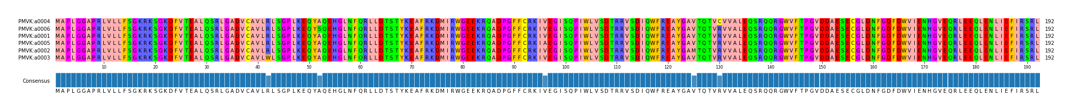 Multiple Alignments (by translate haplotype similarity)