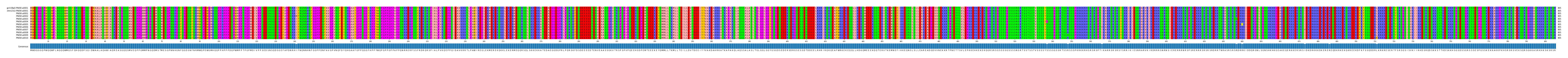 Multiple Alignments (by translate haplotype frequency)