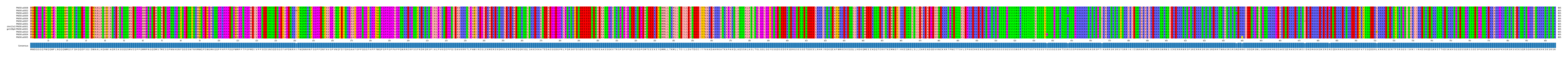 Multiple Alignments (by translate haplotype similarity)