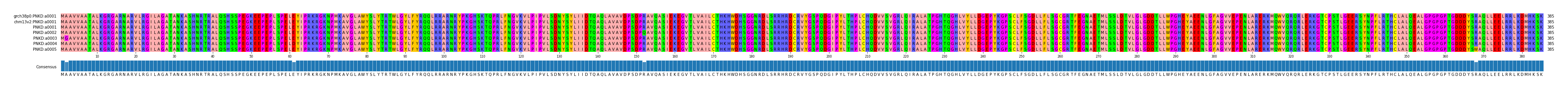 Multiple Alignments (by translate haplotype frequency)