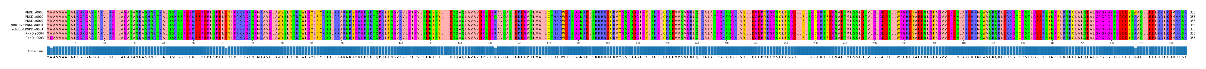 Multiple Alignments (by translate haplotype similarity)