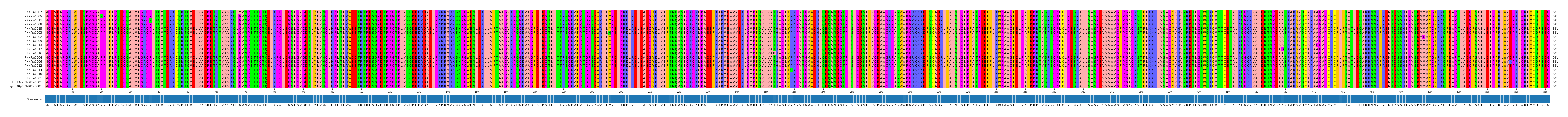 Multiple Alignments (by translate haplotype similarity)