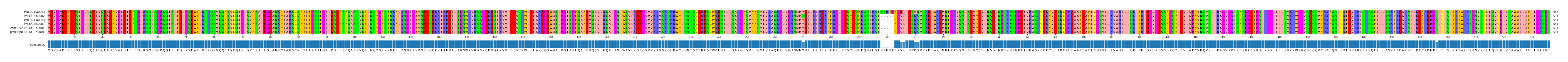 Multiple Alignments (by translate haplotype similarity)