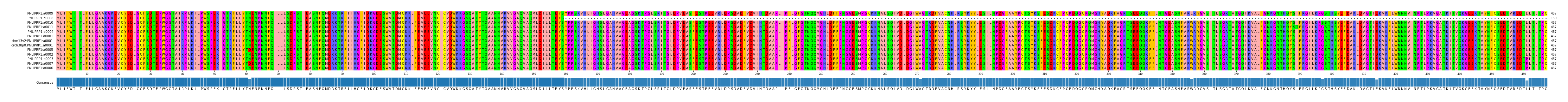 Multiple Alignments (by translate haplotype similarity)