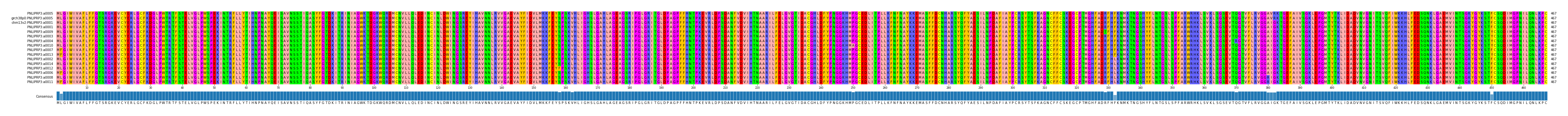 Multiple Alignments (by translate haplotype similarity)