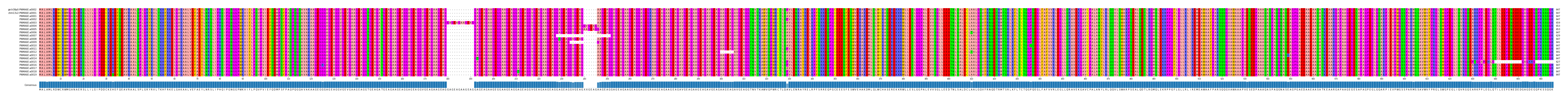 Multiple Alignments (by translate haplotype frequency)