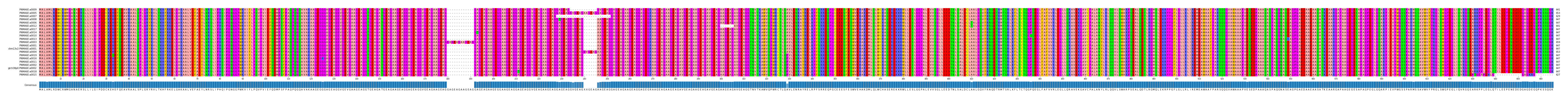 Multiple Alignments (by translate haplotype similarity)