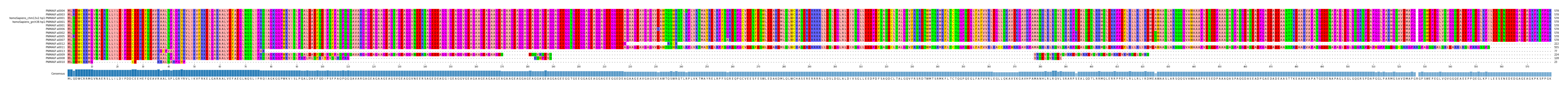Multiple Alignments (by translate haplotype similarity)