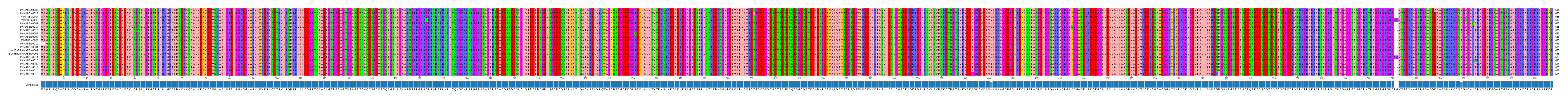 Multiple Alignments (by translate haplotype similarity)