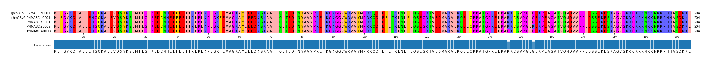 Multiple Alignments (by translate haplotype frequency)
