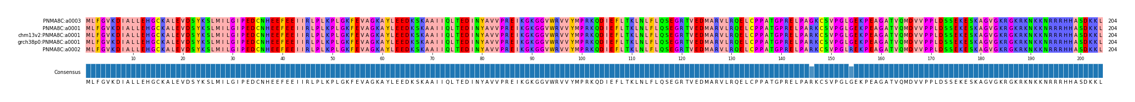 Multiple Alignments (by translate haplotype similarity)