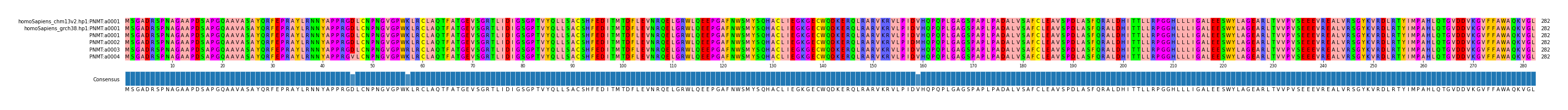 Multiple Alignments (by translate haplotype frequency)