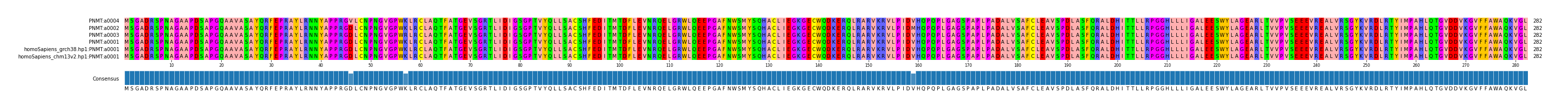 Multiple Alignments (by translate haplotype similarity)