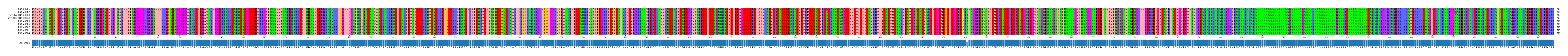Multiple Alignments (by translate haplotype similarity)