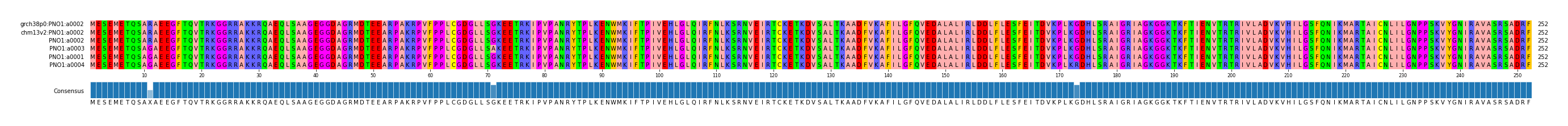 Multiple Alignments (by translate haplotype similarity)